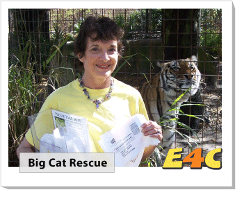 Big Cat Rescue